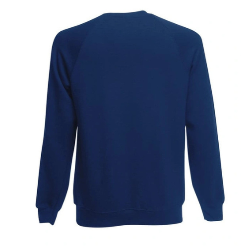 Sweat-Shirt Homme Bleu marine ( Vierge )