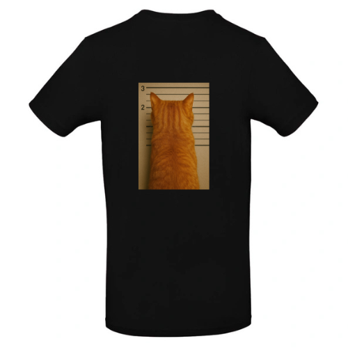 Tee-Shirt Noir Homme 100% Coton ( chat Roux )