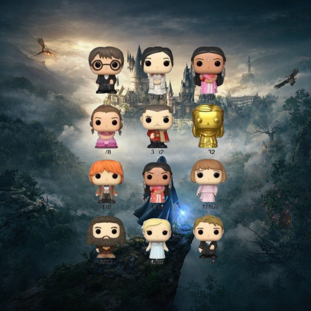 HARRY POTTER GOF - Mystery Bitty Pop