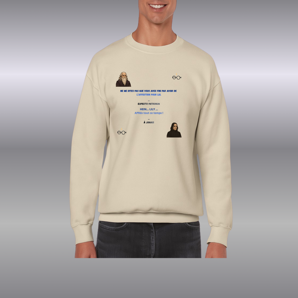 Sweat-Shirt mixte HP ( Plusieurs Couleurs )