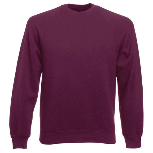 Sweat-Shirt Homme Bordeaux ( Vierge )