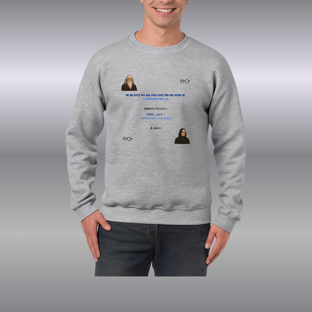 Sweat-Shirt mixte HP ( Plusieurs Couleurs )