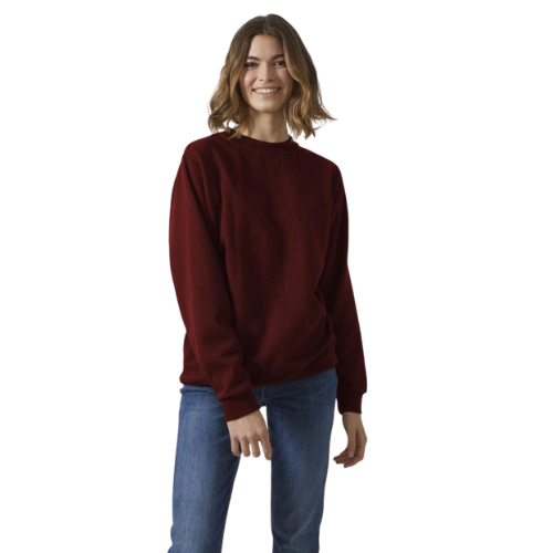 Sweatshirt Gris Col Rond Paris pour femmes ( Vierge )